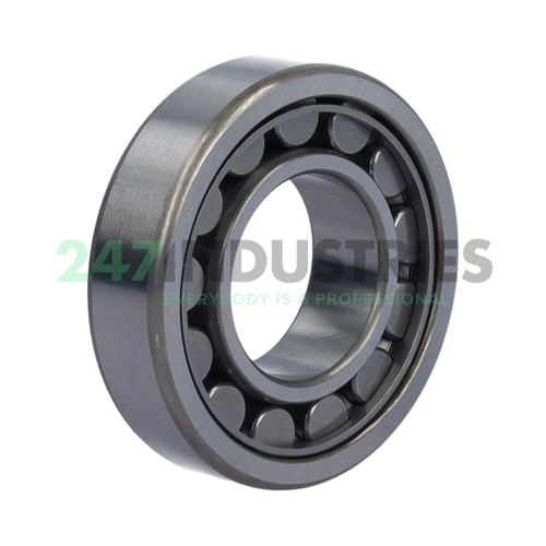 NU206EW NSK Image 2