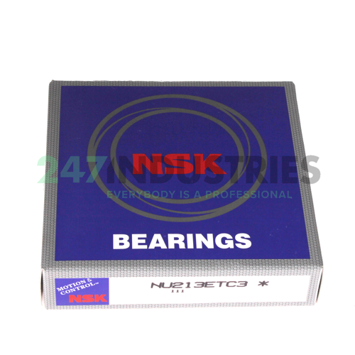 NU213ETC3 NSK Image 4
