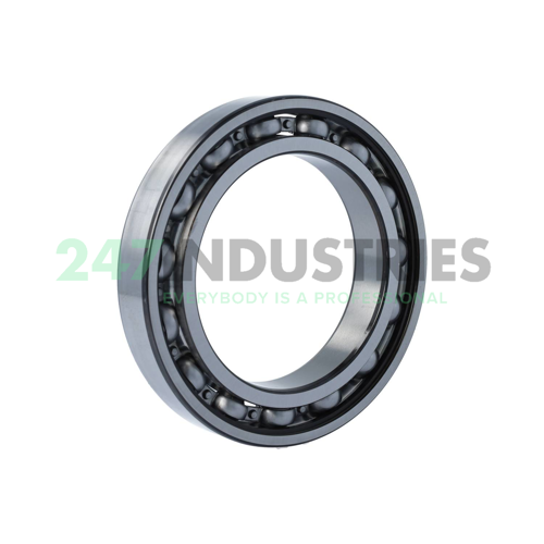 6020/C4 SKF Image 2