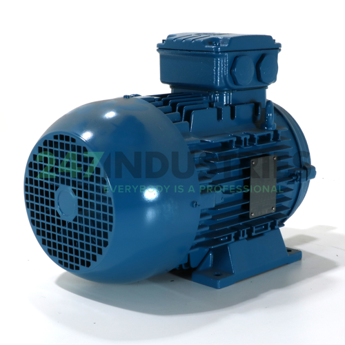 5.5K31AL2112M4B3 WEG Image 3