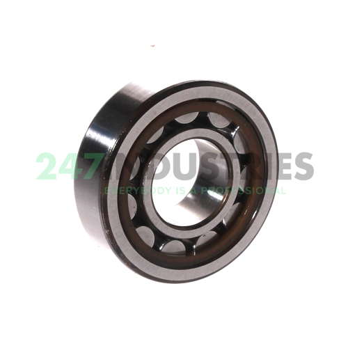 NU204ECP/C3 SKF Image 3