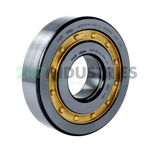 NUP409-XL-M1A-C4 FAG