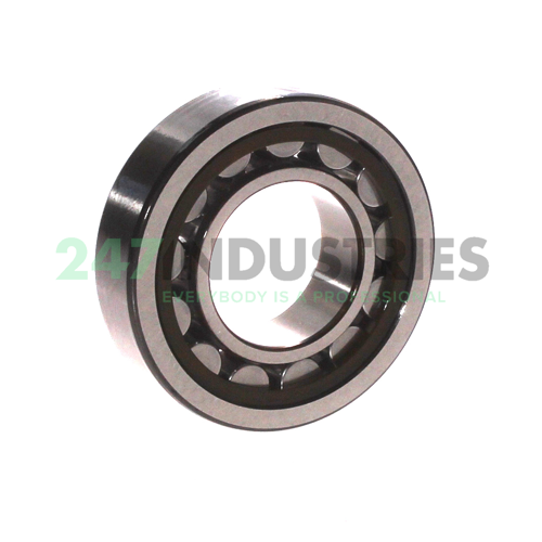 NU206ECP/C3 SKF Image 2