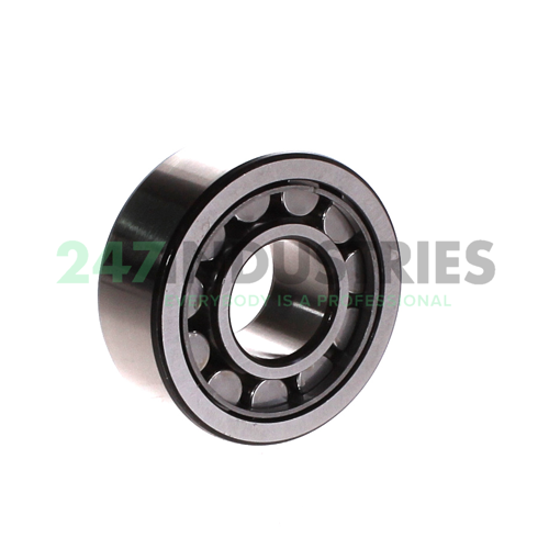 NU2305ECJ SKF Image 2