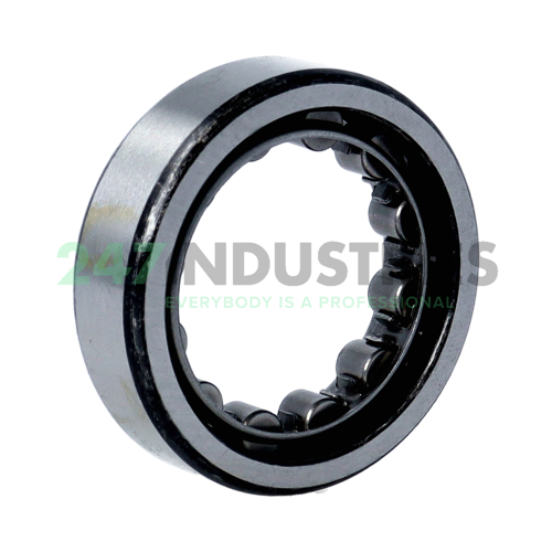 RNU205 IBC Bearings Image 2