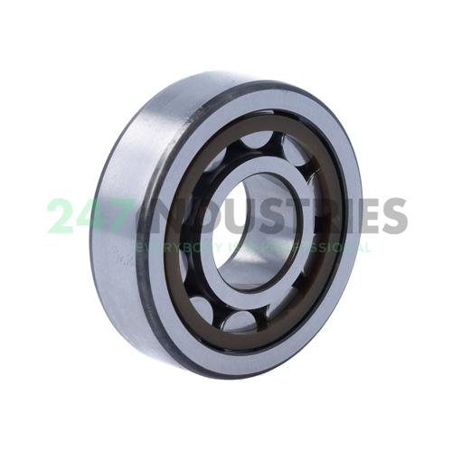 NJ304ECP/C3 SKF Image 2