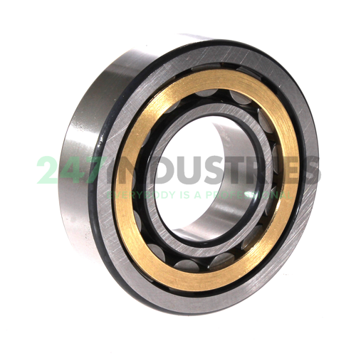 NU309-E-XL-M1-F1-C4 FAG Image 2