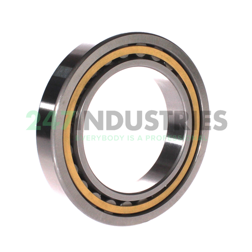 NU1018M C3 Rollway Image 2