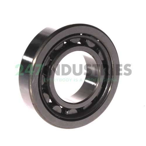 NU207WC3 NSK Image 2