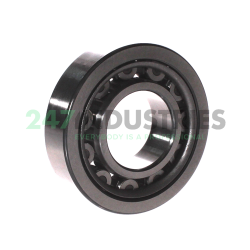 NU309W C3 X28 NSK Image 2