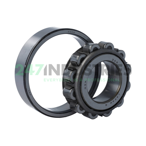 N309W C3 NSK Image 3