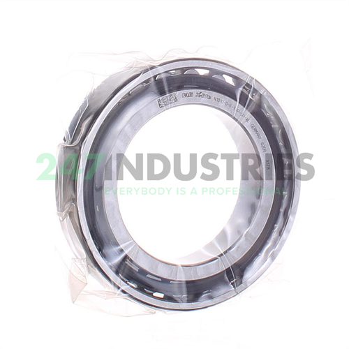 N1010-D-K-TVP-SP-XL FAG