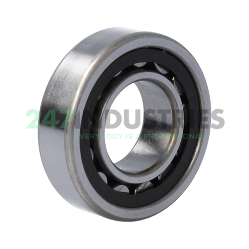 NU205ETC3 NSK Image 2