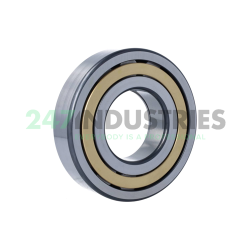 NUP313-E-XL-M1-C3 FAG Image 3
