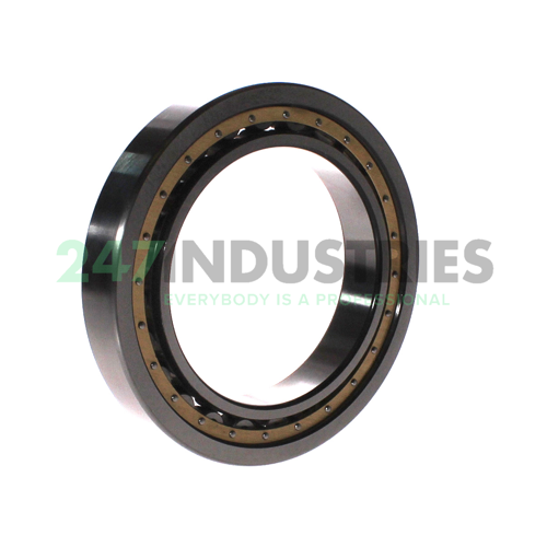NU1020 NSK Image 3