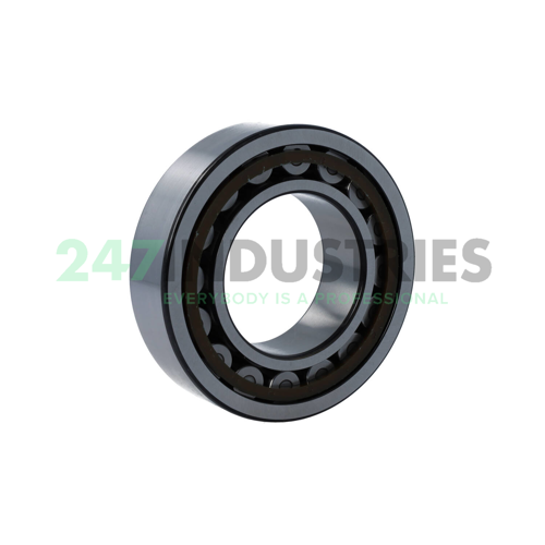 NJ2213ECP/C5 SKF Image 2