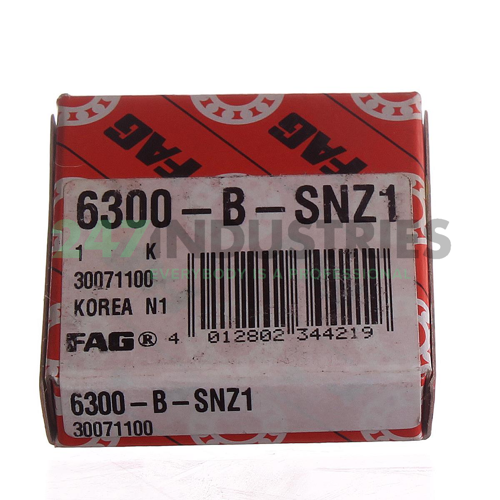 6300-B-SNZ1 FAG Image 2