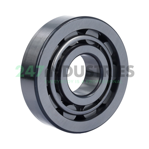 NU407-XL-C3 FAG Image 2