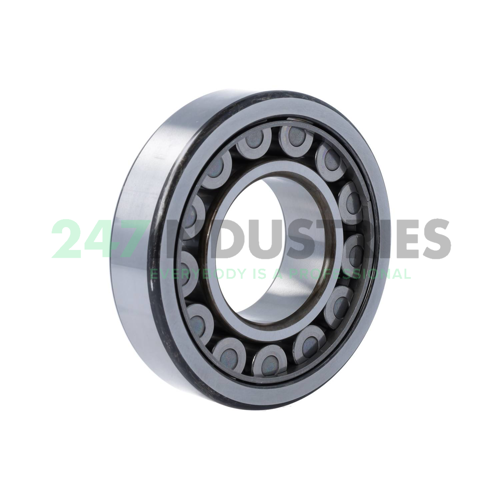 NU311EWC3 NSK Image 2