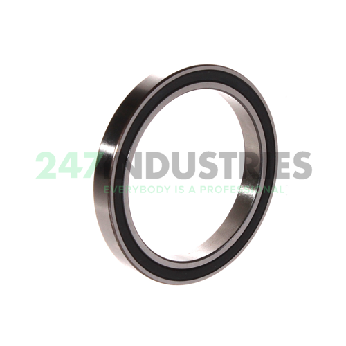61809-2RS-Y INA Image 2