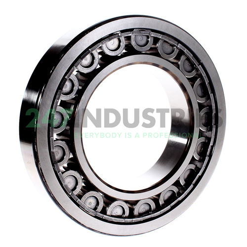 NU224ECJ SKF Image 3