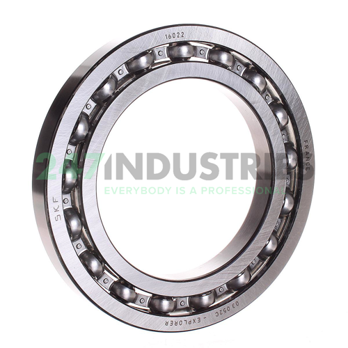 16022 SKF