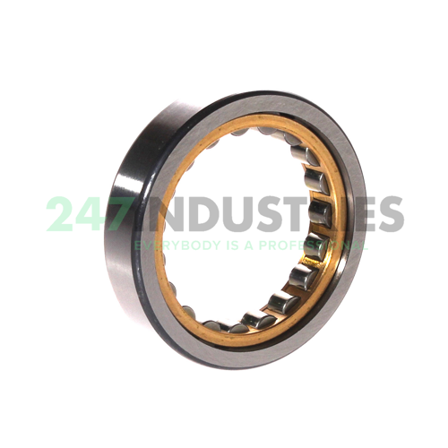 RNU1007-XL-M1 FAG Image 2