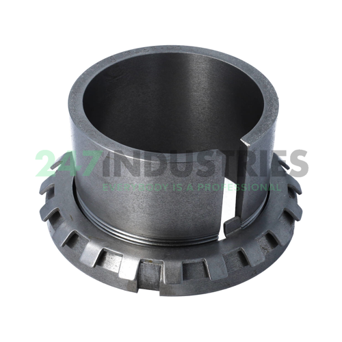 SNW17 03-00 Miether Image 2