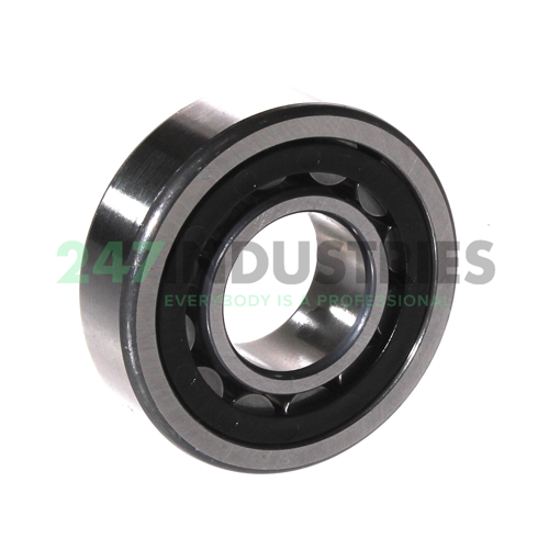 NU204-E-XL-TVP2 FAG Image 2