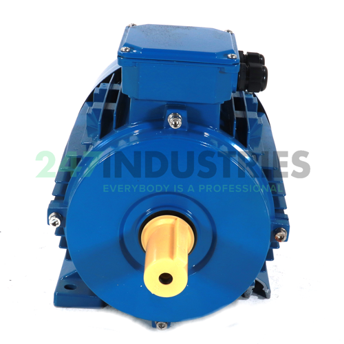 IE1-MSE132S1-2-B3 Cemp Image 3