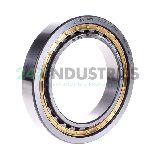 NU1017-XL-M1-F1-C3 FAG