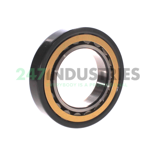 NU215ECM/C4HVA3091 SKF Image 2