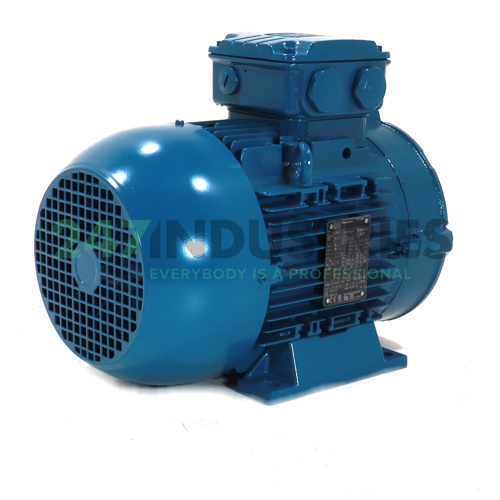 4K32AL3112M2B34 WEG Image 3