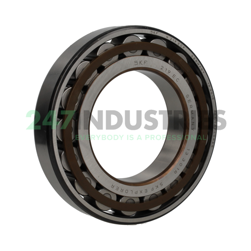 N219ECP SKF Image 2