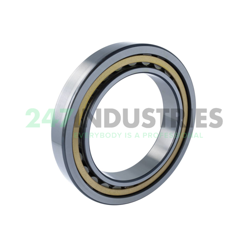 NU1032-XL-M1-F1-C4 FAG Image 2