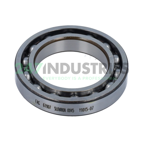 61907 FAG