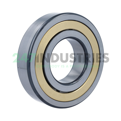 NJ313-E-XL-M1A-C4 FAG Image 2