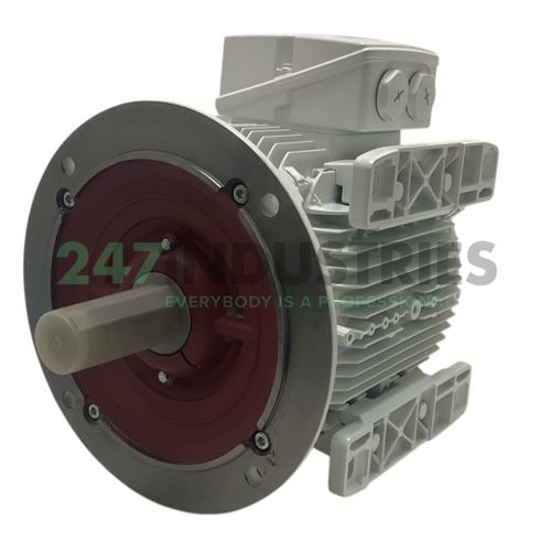 1LE1011-1CP29-0ZA5-Z Siemens