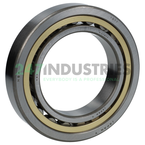NU1011MM NSK