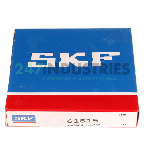 61815 SKF Image 2