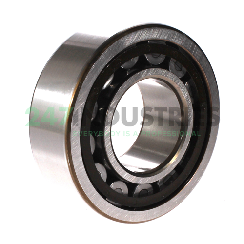 NJ2313ECP/C4 SKF Image 2