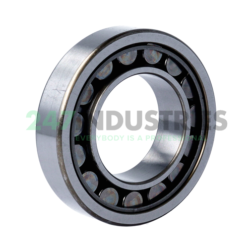 NU209EWKC3 NSK Image 2