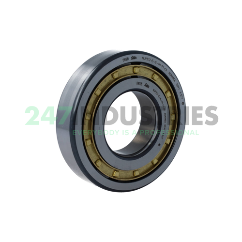 NUP312-E-XL-M1-F1-C4 FAG