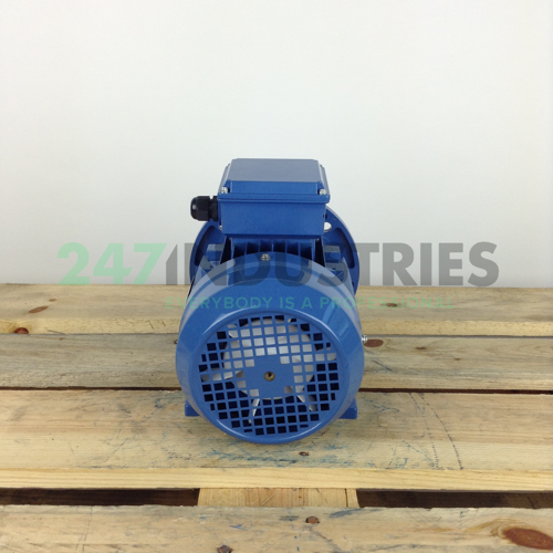 MS90S-2B35 Gibbons Image 5