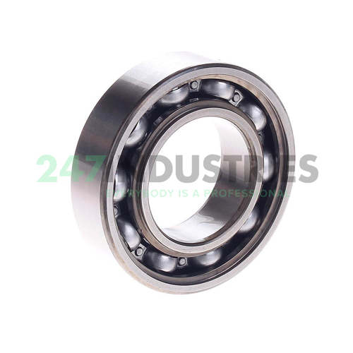 6005-RSH SKF Image 2