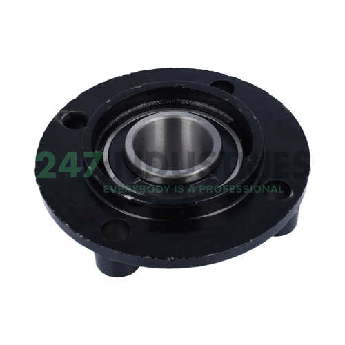 UCFC209 Felstrom Image 2